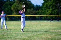 2025 LH/DC Boys Baseball