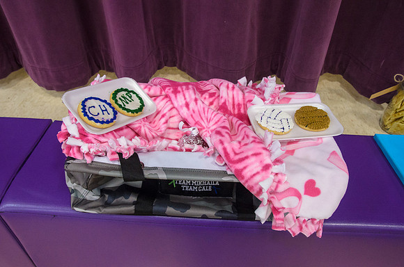 The items availalbe during the live auction between games