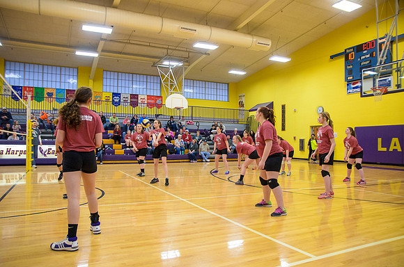 Everyone on the court!