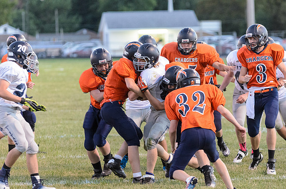 DSC_3018