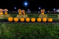 Week 8--Senior Night