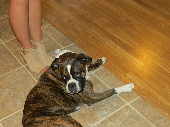 IMG_0917